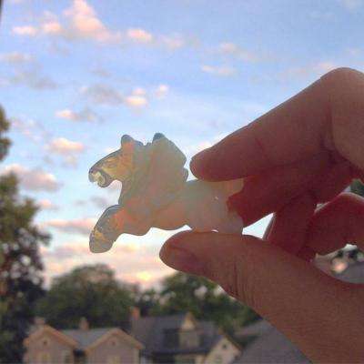 新万博在线体育