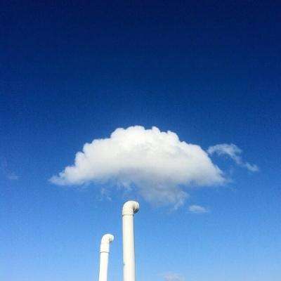 电玩舞会森林app下载