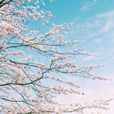 博鱼·体育中国入口